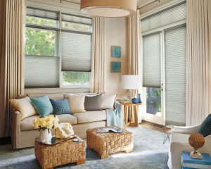 living room honeycomb shades Hunter Douglas motorized blinds Cleveland 44125