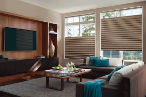 top down blinds smart shades Cleveland Hunter Douglas motorized blinds Rocky River 44116