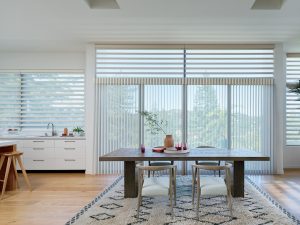 Hunter Douglas vertical blinds and shades for patio doors and expansive windows