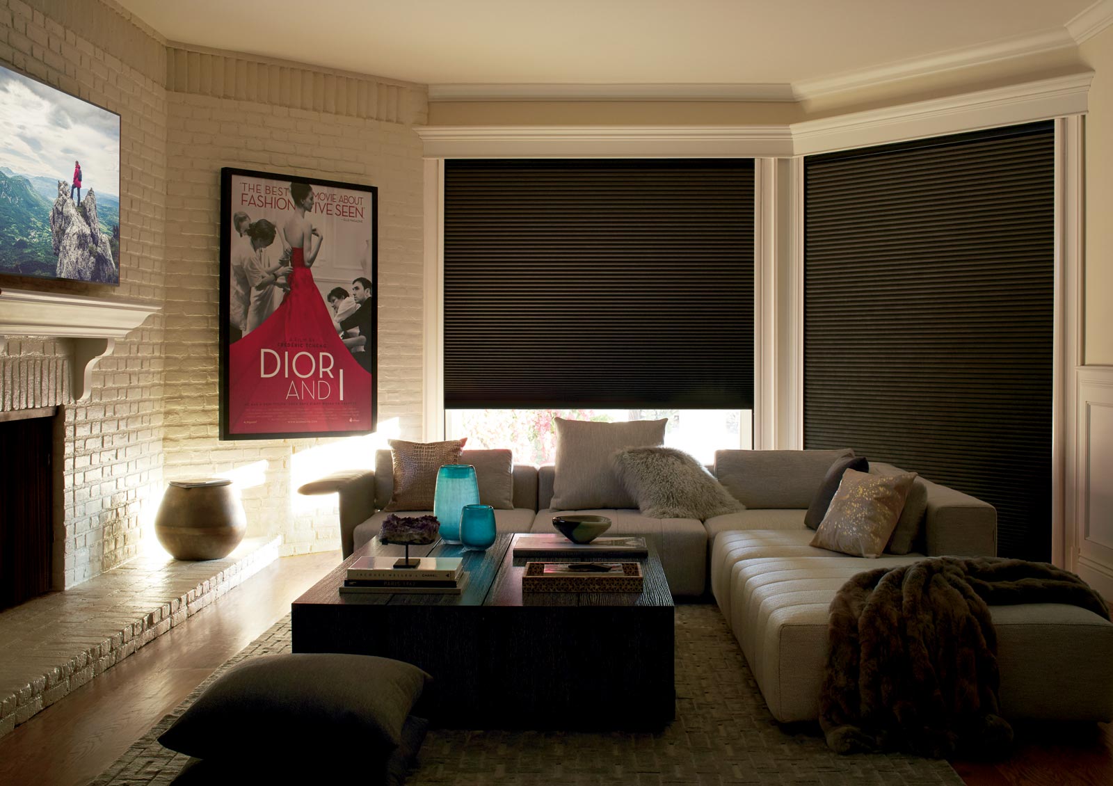 duette honeycomb shades with lightlock for blackout shades in Chagrin Falls OH