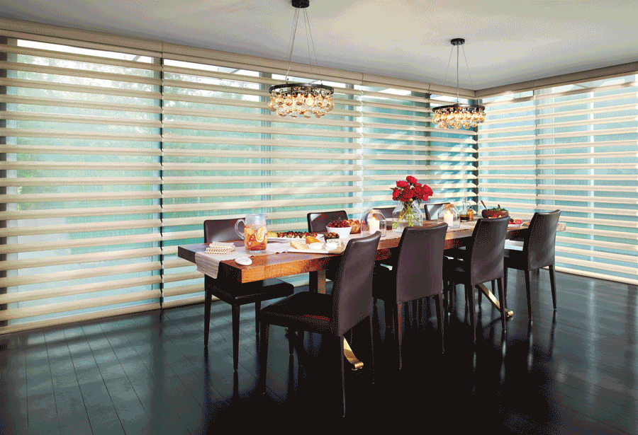 pirouette shades on sliding door adjusting up and down