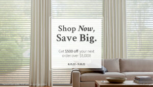 shop now graphic