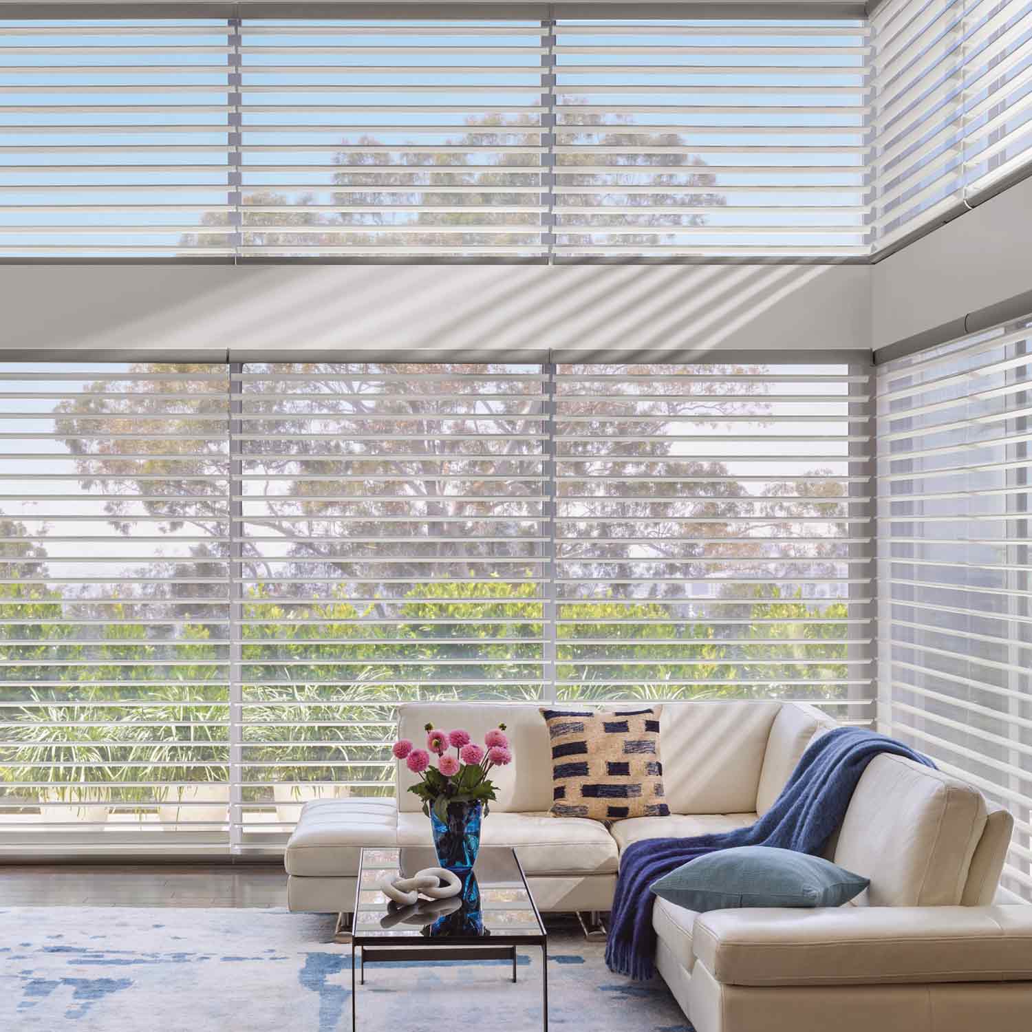 floor to ceiling view through window shades