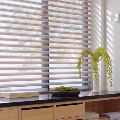 pirouette-window-shades-modern-bathroom--timan-custom-window-coverings-cleveland-oh let the light in and outdoor view for springtime decorating