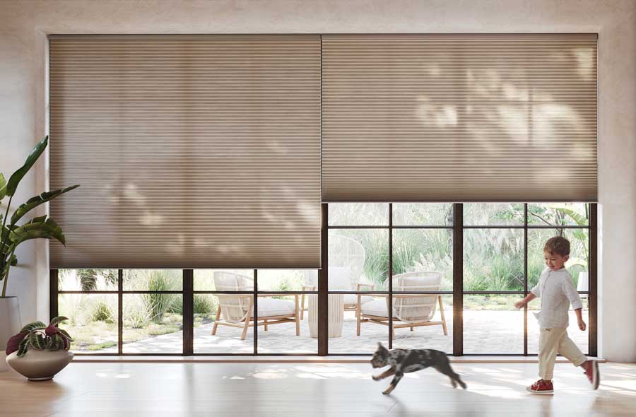 large floor to ceiling windows with tan honeycomb shades with a dog and child walking by them