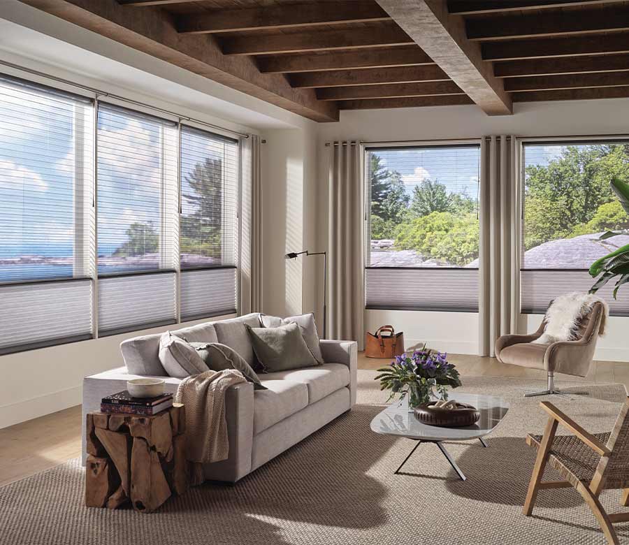 see through dual cellular shades with grommet curtains as living room window treatments at Lake Erie home