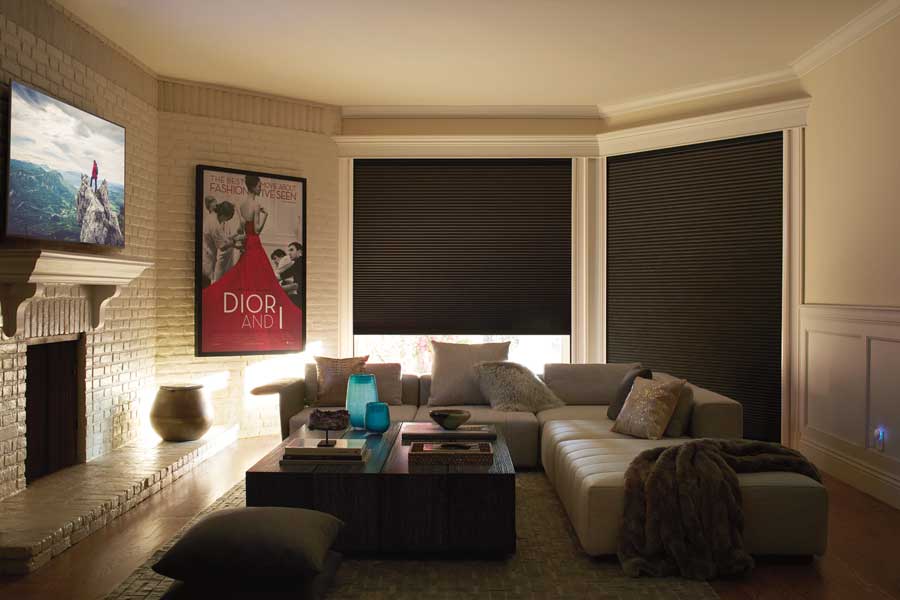 living room with black out shades with movie poster on wall with couch