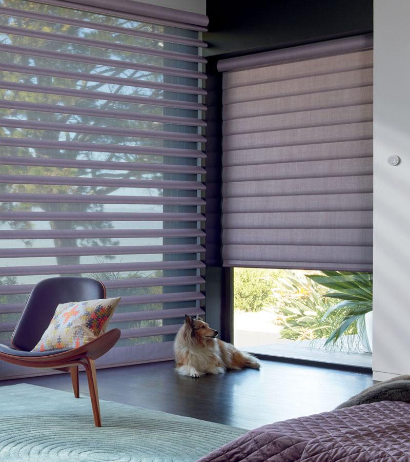 blue floor to ceiling windows pirouette shades in bedroom with dog and chair