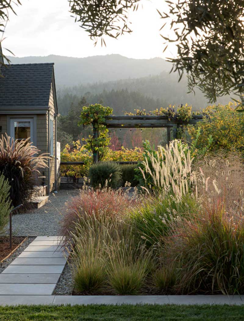 natural landscaping outside 