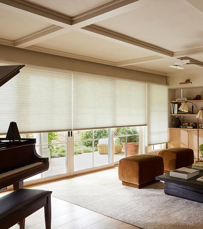 duette-honeycomb-shades-for-glass-doors-timan-and-co honeycomb window coverings in living room timan & co