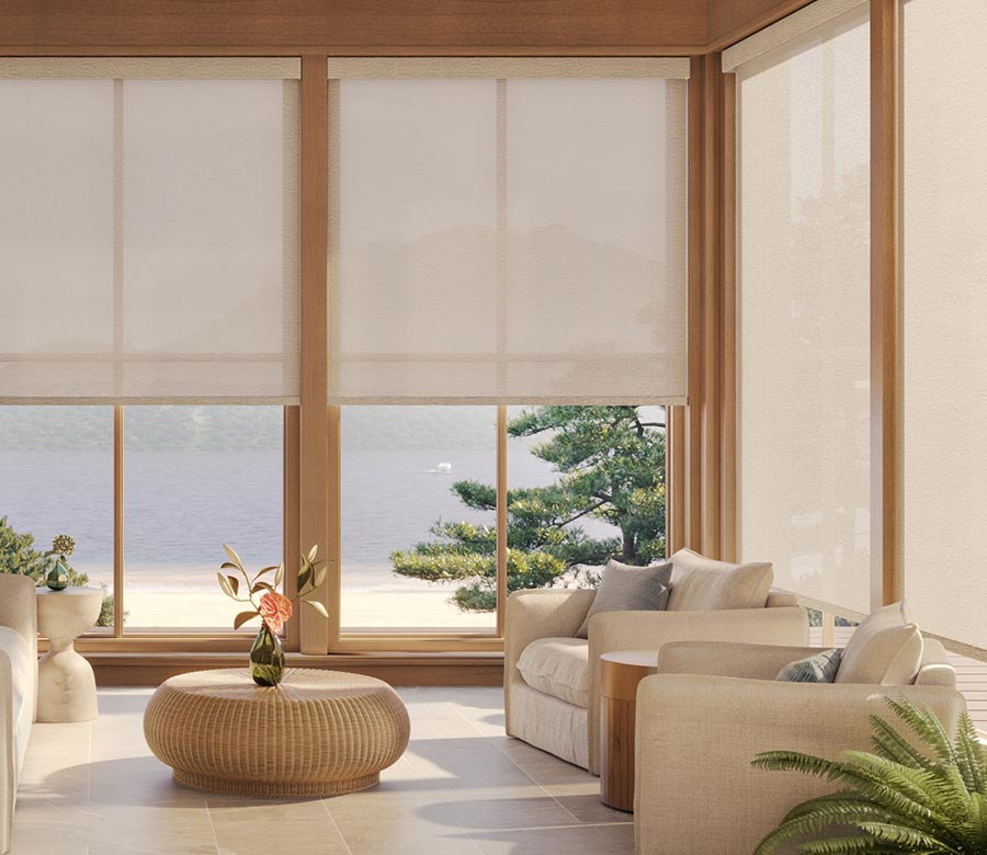 cream neutral colored screens in living room