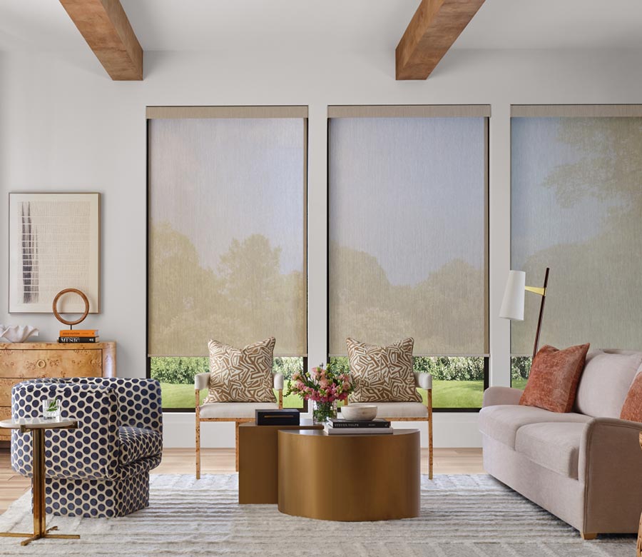 floor to ceiling windows with window shades